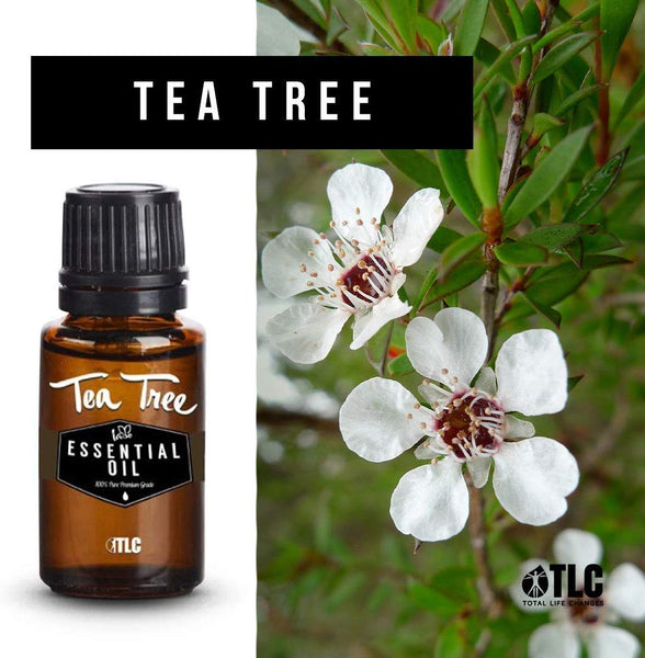 TLC Iaso Pure Tea Tree Essential Oil 0.5 Fl Oz. | 15 Ml Bottle