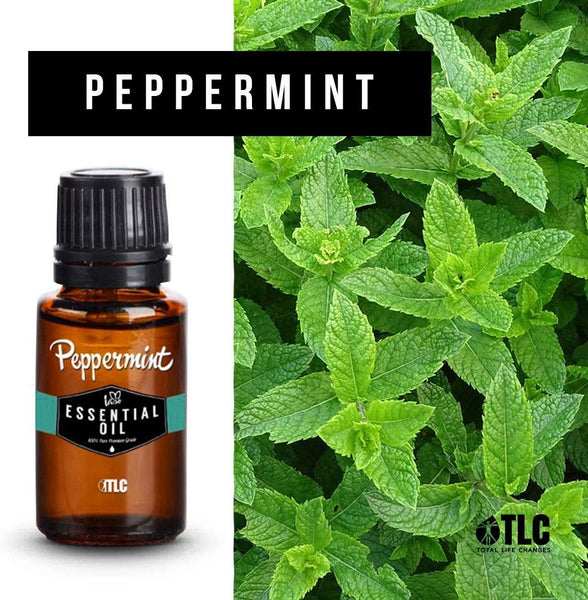 TLC Iaso Peppermint Essential Oil 0.5 Fl Oz. | 15 Ml Bottle
