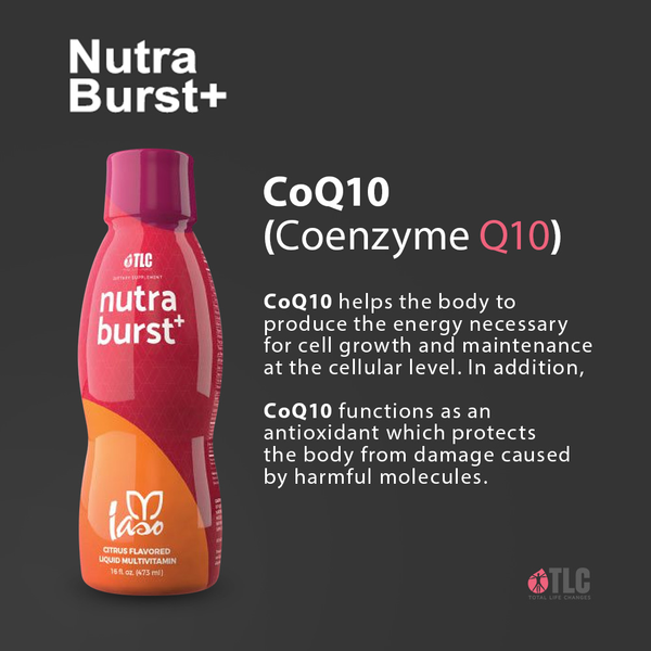 TLC IASO Nutra Burst+ Multivitamin Liquid Citrus Flavored 32 Servings 16 Fl Oz | 470ml