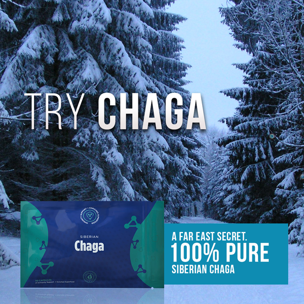 TLC IASO Chaga Siberian Supplement: 100% Pure Inonotus Obliquus Mushroom Extract. 90 Capsules - Packaging May Vary 2019
