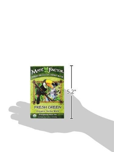 The Mate Factor Yerba Mate Energizing Herb Tea Bag, Organic Fresh Green, 24-Count Box